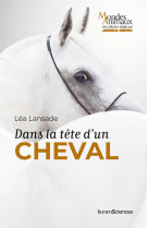 Dans la tete d'un cheval