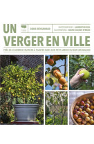 Un verger en ville. pres de 30 arbres fruitiers a planter dans son petit jardin ou sur son balcon