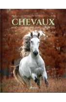 Chevaux : un univers fabuleux