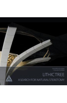 Lithic tree - a search for natural stereotomy.