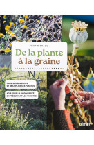 De la plante à la graine