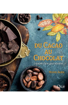 Du cacao au chocolat