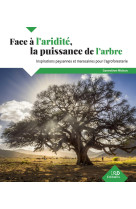 Face à l'aridité, la puissance de l'arbre
