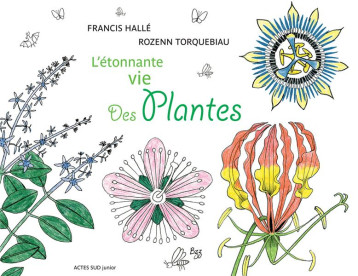 L'ETONNANTE VIE DES PLANTES - HALLE/TORQUEBIAU - ACTES SUD