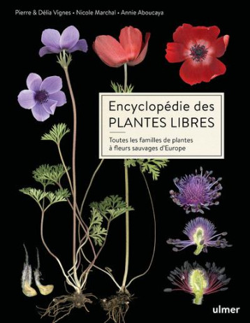 ENCYCLOPEDIE DES PLANTES LIBRES - TOUTES LES FAMILLES DE PLANTES A FLEURS SAUVAGES D'EUROPE - VIGNES/ABOUCAYA - ULMER