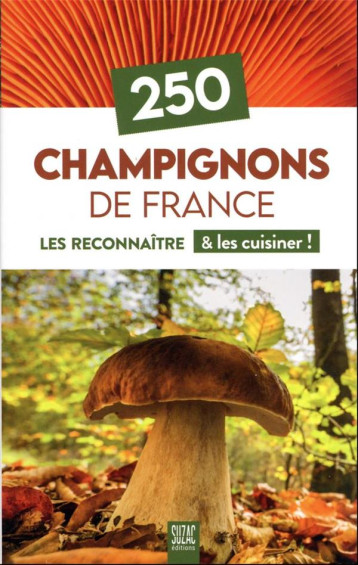 250 CHAMPIGNONS DE FRANCE - LES RECONNAITRE & LES CUISINER ! - COLLECTIF - DU LUMIGNON