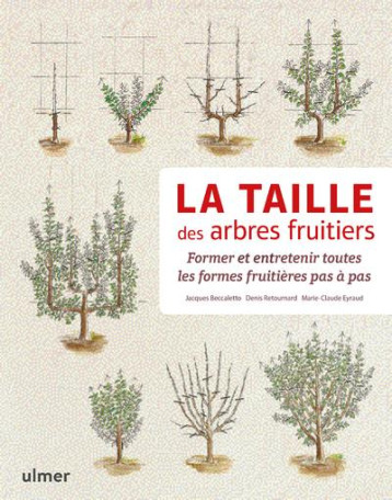 LA TAILLE DES ARBRES FRUITIERS - FORMER ET ENTRETENIR TOUTES LES FORMES FRUITIERES PAS A PAS - BECCALETTO/EYRAUD - Ulmer