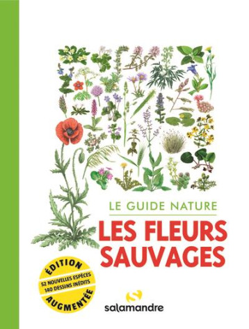 LE GUIDE NATURE LES FLEURS SAUVAGES - COLLECTIF - LA SALAMANDRE