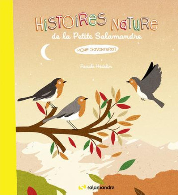 HISTOIRES NATURE DE LA PETITE SALAMANDRE - POUR S'AVENTURER - HEDELIN PASCALE - LA SALAMANDRE