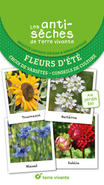 Les antisèches de Terre vivante : Fleurs d'été - Serge Lapouge - TERRE VIVANTE