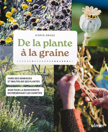 De la plante à la graine - Sigrid Drage - ULMER