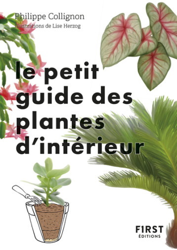 Le Petit Guide jardin des plantes d'intérieur - Philippe Collignon - FIRST