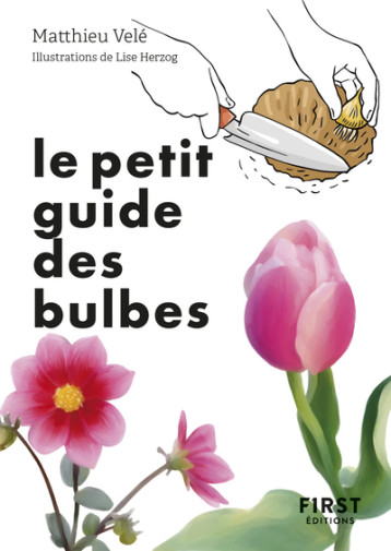 Le Petit guide des bulbes -  Collectif - FIRST