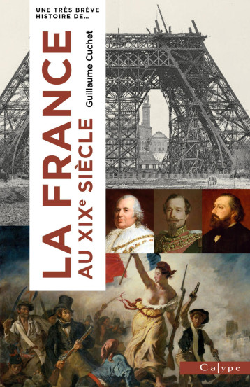 Très brève histoire de la France au XIXe siècle - Guillaume Cuchet - CALYPE