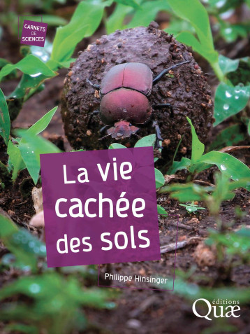 La vie cachée des sols - Philippe Hinsinger - QUAE