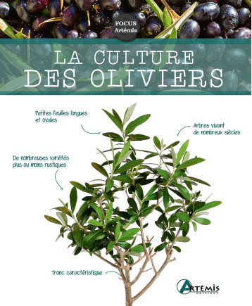 La culture des oliviers - Jean-Marie Polese - ARTEMIS