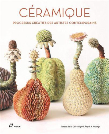 CEramique. Processus crEatifs des artistes contemporains /franCais -  NICOLAS MIGUEL - HOAKI